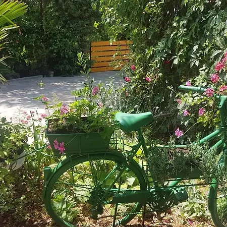 Dora Apartment *