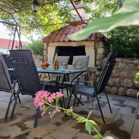 Dora Цриквеница