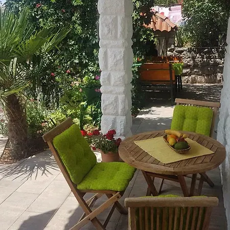 Dora Цриквеница