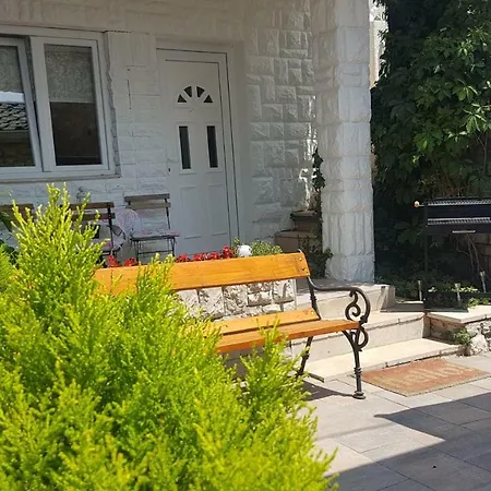 Dora 茨里克韦尼察