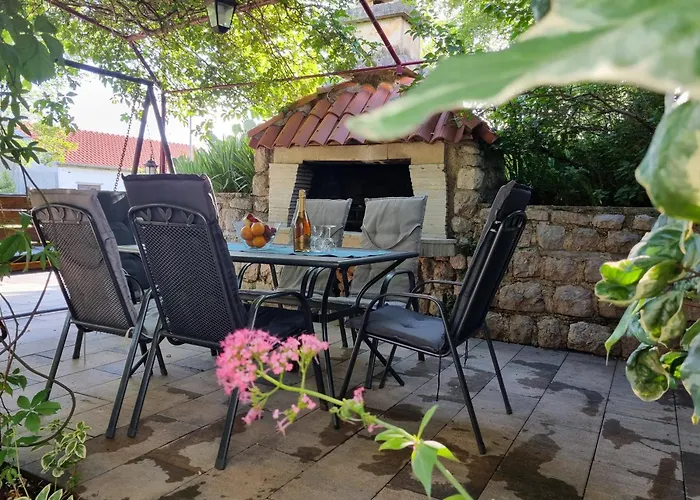 Dora ツリクヴェニツァ