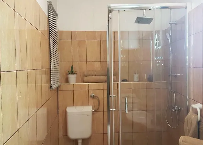 Dora ツリクヴェニツァ