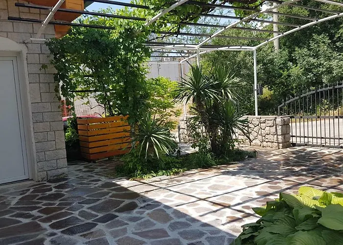 Dora * ツリクヴェニツァ