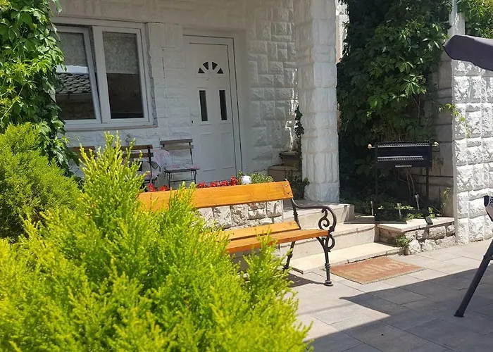 Dora 茨里克韦尼察